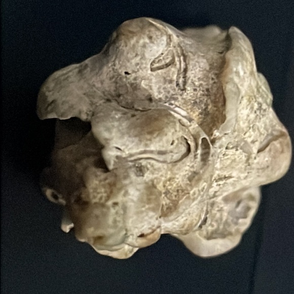 Calcified Sea Shell Interesting Fossil Specimen (Unknown Origin) - Picture 11 of 11